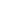 Seer™ | Intent & Governance Plane